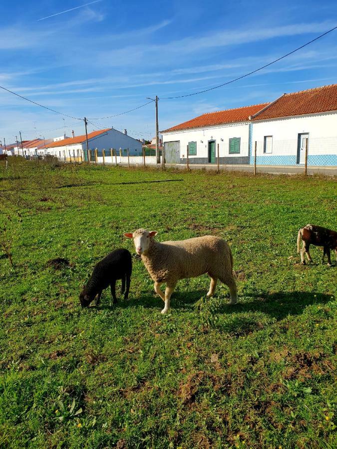 Casa Do Avo To Villa Reguengos de Monsaraz Kültér fotó